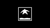 Skydiver
