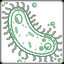 Bacteria