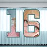 16 level completed