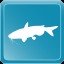 Channel Catfish