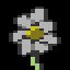 Florist