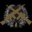 Expert Weapons Badge 
